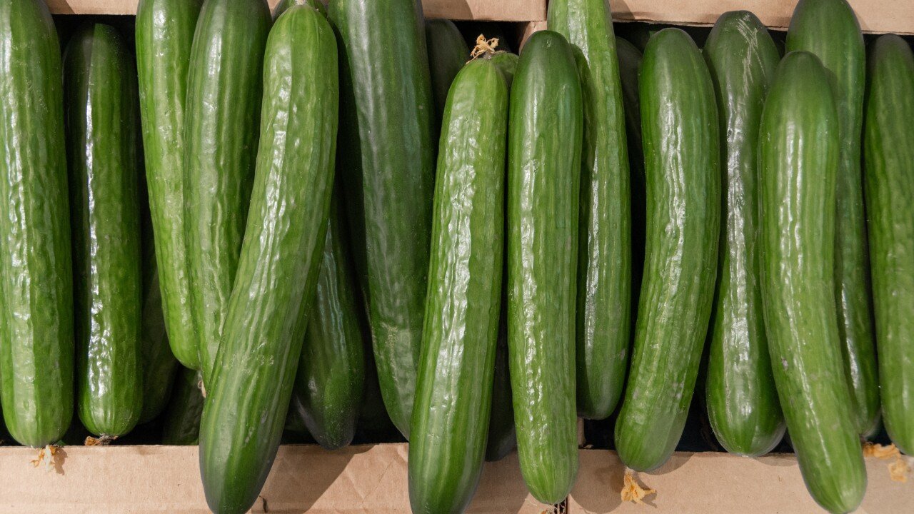 Salmonella Outbreak Prompts Recall of Cucumbers and Containing Products